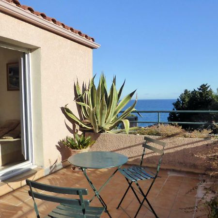 4Sap22 Appartement Climatise Avec Double Terrasses Collioure Exterior photo